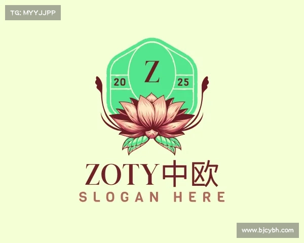 解读zoty中欧